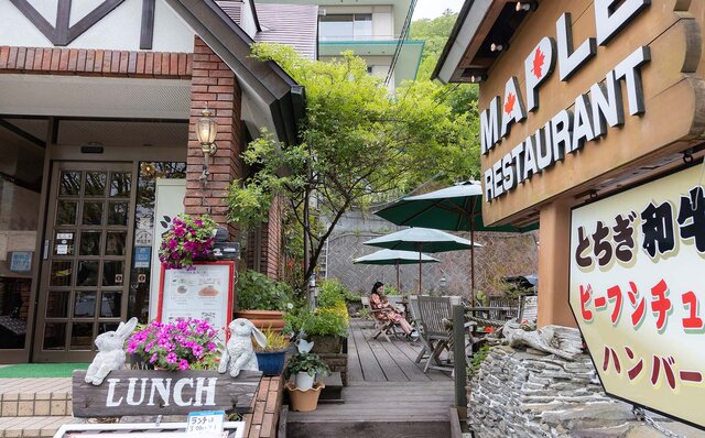 ［犬と泊まれる宿］with わんこドライブで日光へ。ドア to ドアで気兼ねなく、町全体がわんこ歓迎でフレンドリー！｜TRAVEL