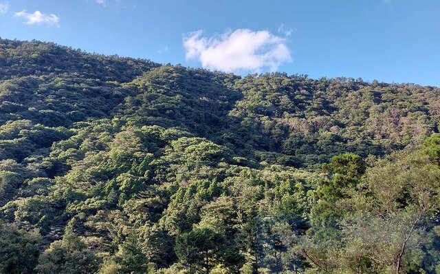 リニューアルした箱根湯本「はつはな」で過ごすひとときで身も心も整える|TRAVEL リニューアルした箱根湯本「はつはな」で過ごすひとときで身も心も整える|TRAVEL