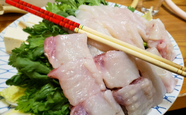 連載エッセイ|#ijichimanのぼやき「河豚」 連載エッセイ|#ijichimanのぼやき「河豚」