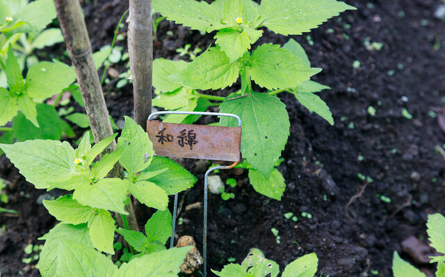 首都圏から片道2時間弱の美食楽園。那須のご馳走、全部入り!|TRAVEL 首都圏から片道2時間弱の美食楽園。那須のご馳走、全部入り!|TRAVEL