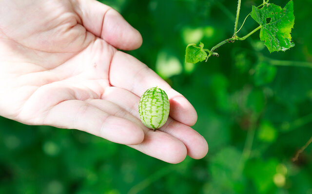 首都圏から片道2時間弱の美食楽園。那須のご馳走、全部入り!|TRAVEL 首都圏から片道2時間弱の美食楽園。那須のご馳走、全部入り!|TRAVEL
