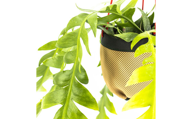 植物を吊るしてインテリアの一部に。使いやすいハンキングプランターを提案|Araheam 植物を吊るしてインテリアの一部に。使いやすいハンキングプランターを提案|Araheam