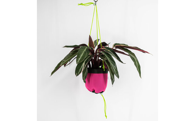 植物を吊るしてインテリアの一部に。使いやすいハンキングプランターを提案|Araheam 植物を吊るしてインテリアの一部に。使いやすいハンキングプランターを提案|Araheam