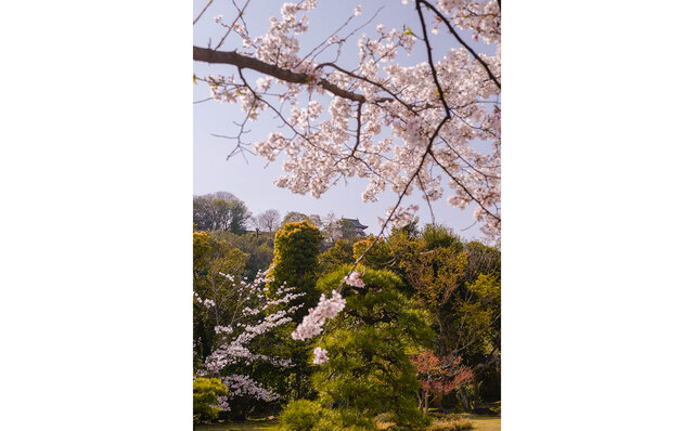 TRAVEL｜ホテルインディゴ犬山有楽苑