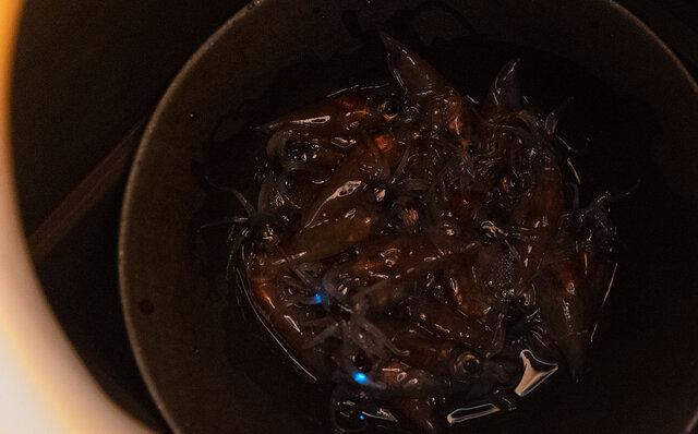 銘酒・満寿泉が手掛ける「リンク８」の食中酒としての魅力を、地元富山の美食巡りのなかで堪能｜FEATURE