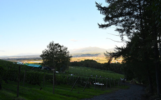 「THE OUTDOOR LIVING IN FURANO」  富良野の山頂の絶景で、セララバアド橋本宏一シェフが織りなすフルコースを食すスペシャルダイニングがこの秋開催 「THE OUTDOOR LIVING IN FURANO」  富良野の山頂の絶景で、セララバアド橋本宏一シェフが織りなすフルコースを食すスペシャルダイニングがこの秋開催