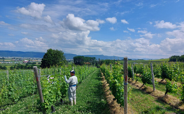 「THE OUTDOOR LIVING IN FURANO」  富良野の山頂の絶景で、セララバアド橋本宏一シェフが織りなすフルコースを食すスペシャルダイニングがこの秋開催 「THE OUTDOOR LIVING IN FURANO」  富良野の山頂の絶景で、セララバアド橋本宏一シェフが織りなすフルコースを食すスペシャルダイニングがこの秋開催