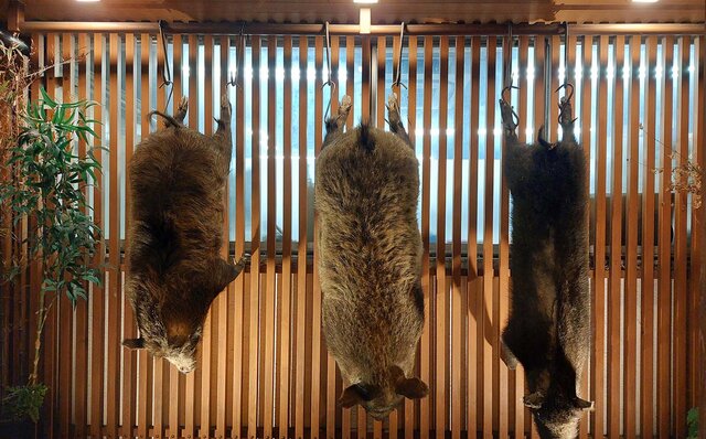 味わい深いジビエを楽しむ冬