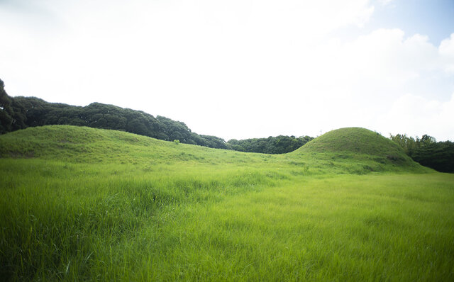 人の営みも実りも豊かな島、壱岐島へ！｜TRAVEL
