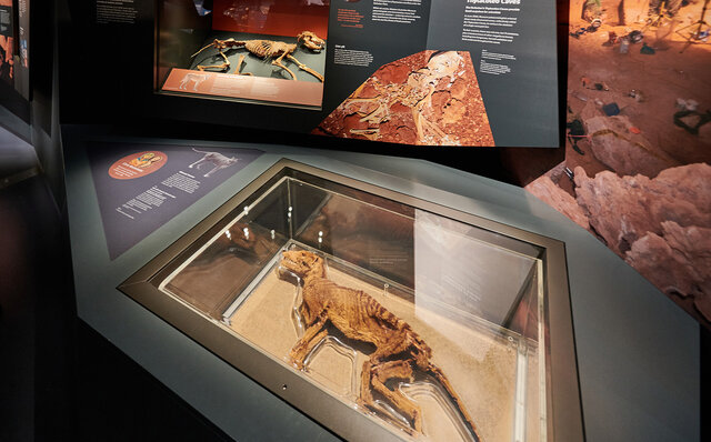 西オーストラリア州の州都「パース」は、想像以上に大人が楽しめる場所だった｜TRAVEL