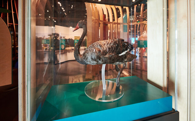 西オーストラリア州の州都「パース」は、想像以上に大人が楽しめる場所だった｜TRAVEL