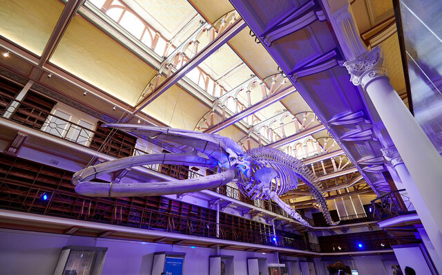 西オーストラリア州の州都「パース」は、想像以上に大人が楽しめる場所だった｜TRAVEL