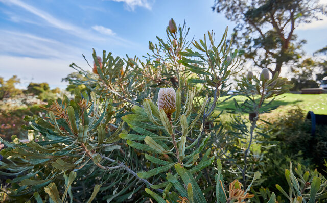 西オーストラリア州の州都「パース」は、想像以上に大人が楽しめる場所だった｜TRAVEL