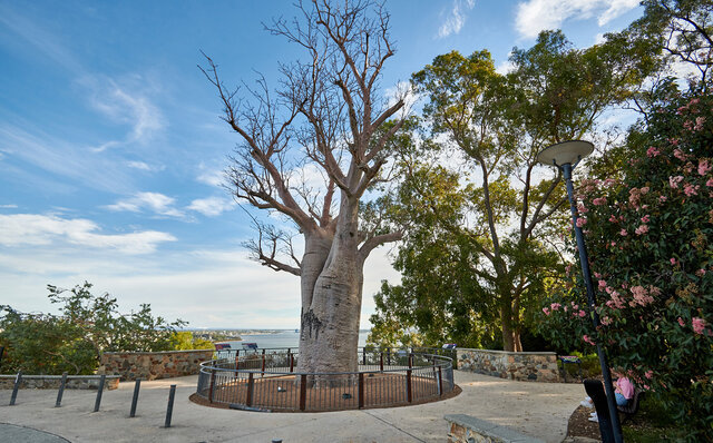 西オーストラリア州の州都「パース」は、想像以上に大人が楽しめる場所だった｜TRAVEL