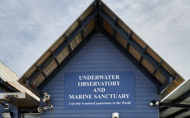 プレミアムワイン、海、オリーブ……。マーガレットリバーで自然の恵みを享受する|TRAVEL プレミアムワイン、海、オリーブ……。マーガレットリバーで自然の恵みを享受する|TRAVEL