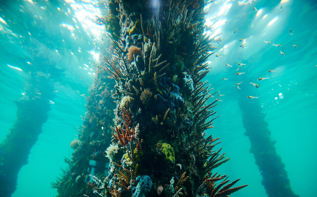 プレミアムワイン、海、オリーブ……。マーガレットリバーで自然の恵みを享受する|TRAVEL プレミアムワイン、海、オリーブ……。マーガレットリバーで自然の恵みを享受する|TRAVEL