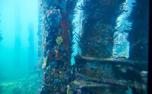 プレミアムワイン、海、オリーブ……。マーガレットリバーで自然の恵みを享受する|TRAVEL プレミアムワイン、海、オリーブ……。マーガレットリバーで自然の恵みを享受する|TRAVEL