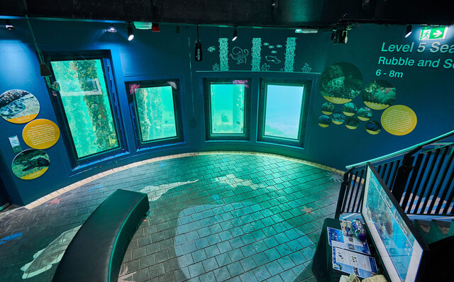 プレミアムワイン、海、オリーブ……。マーガレットリバーで自然の恵みを享受する|TRAVEL プレミアムワイン、海、オリーブ……。マーガレットリバーで自然の恵みを享受する|TRAVEL