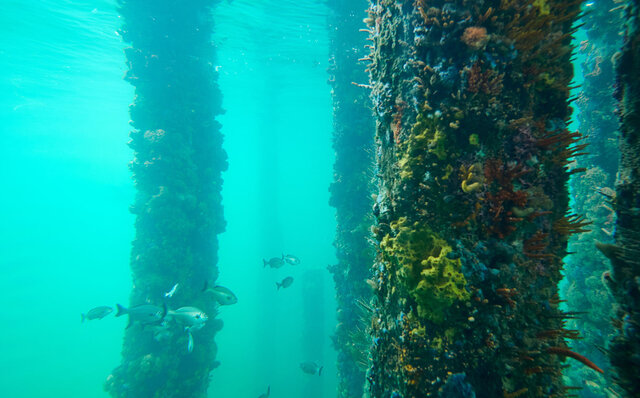 プレミアムワイン、海、オリーブ……。マーガレットリバーで自然の恵みを享受する|TRAVEL プレミアムワイン、海、オリーブ……。マーガレットリバーで自然の恵みを享受する|TRAVEL