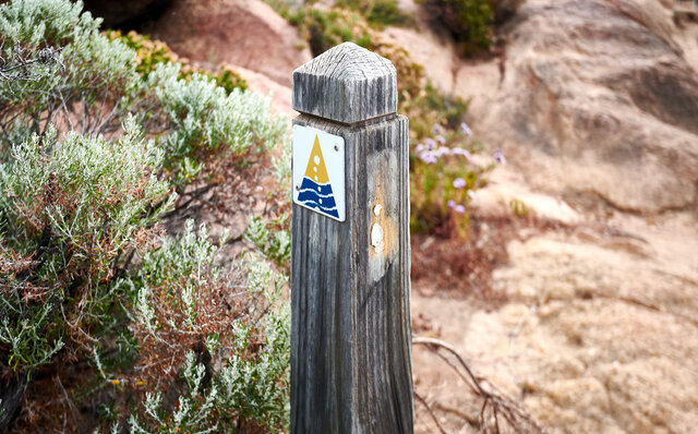 プレミアムワイン、海、オリーブ……。マーガレットリバーで自然の恵みを享受する|TRAVEL プレミアムワイン、海、オリーブ……。マーガレットリバーで自然の恵みを享受する|TRAVEL