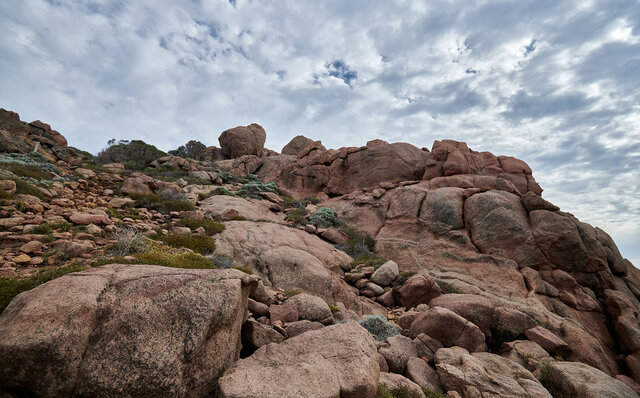 プレミアムワイン、海、オリーブ……。マーガレットリバーで自然の恵みを享受する|TRAVEL プレミアムワイン、海、オリーブ……。マーガレットリバーで自然の恵みを享受する|TRAVEL