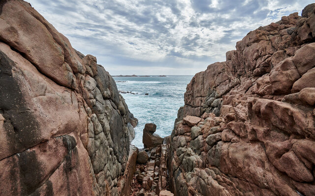 プレミアムワイン、海、オリーブ……。マーガレットリバーで自然の恵みを享受する|TRAVEL プレミアムワイン、海、オリーブ……。マーガレットリバーで自然の恵みを享受する|TRAVEL