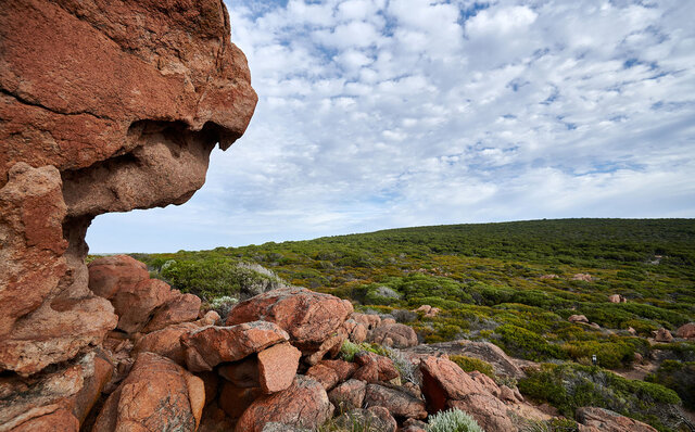 プレミアムワイン、海、オリーブ……。マーガレットリバーで自然の恵みを享受する|TRAVEL プレミアムワイン、海、オリーブ……。マーガレットリバーで自然の恵みを享受する|TRAVEL