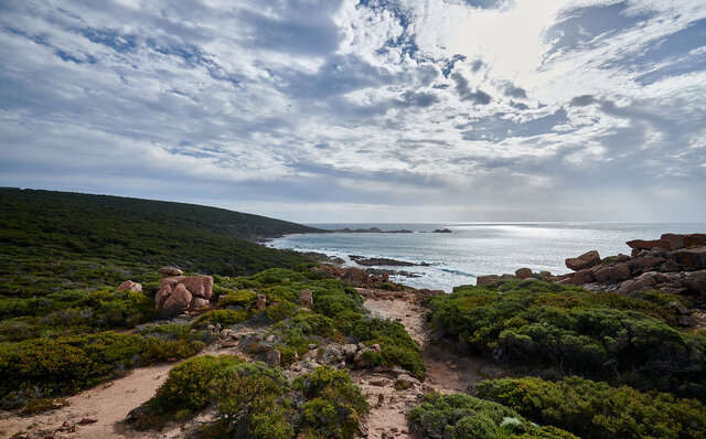 プレミアムワイン、海、オリーブ……。マーガレットリバーで自然の恵みを享受する|TRAVEL プレミアムワイン、海、オリーブ……。マーガレットリバーで自然の恵みを享受する|TRAVEL