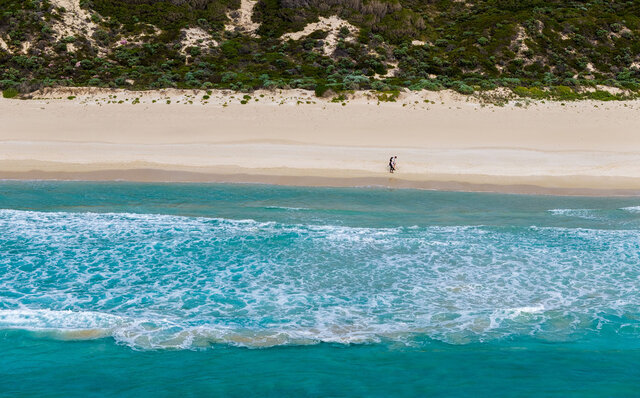 プレミアムワイン、海、オリーブ……。マーガレットリバーで自然の恵みを享受する|TRAVEL プレミアムワイン、海、オリーブ……。マーガレットリバーで自然の恵みを享受する|TRAVEL