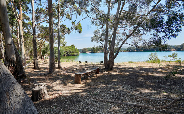 プレミアムワイン、海、オリーブ……。マーガレットリバーで自然の恵みを享受する|TRAVEL プレミアムワイン、海、オリーブ……。マーガレットリバーで自然の恵みを享受する|TRAVEL