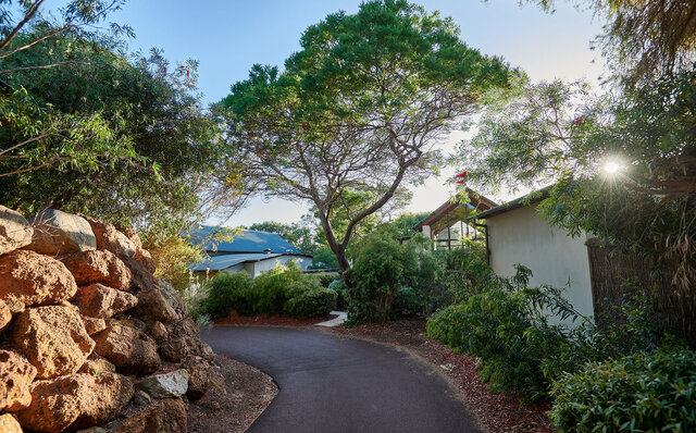 プレミアムワイン、海、オリーブ……。マーガレットリバーで自然の恵みを享受する|TRAVEL プレミアムワイン、海、オリーブ……。マーガレットリバーで自然の恵みを享受する|TRAVEL