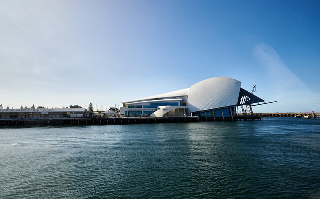 ロットネスト島で、世界一幸せな動物“クオッカ”に恋をした|TRAVEL ロットネスト島で、世界一幸せな動物“クオッカ”に恋をした|TRAVEL