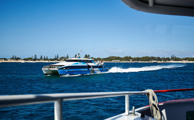 ロットネスト島で、世界一幸せな動物“クオッカ”に恋をした|TRAVEL ロットネスト島で、世界一幸せな動物“クオッカ”に恋をした|TRAVEL