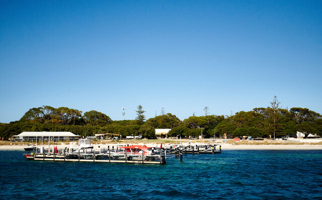 ロットネスト島で、世界一幸せな動物“クオッカ”に恋をした|TRAVEL ロットネスト島で、世界一幸せな動物“クオッカ”に恋をした|TRAVEL