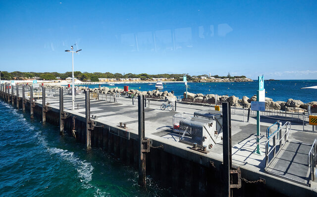 ロットネスト島で、世界一幸せな動物“クオッカ”に恋をした|TRAVEL ロットネスト島で、世界一幸せな動物“クオッカ”に恋をした|TRAVEL