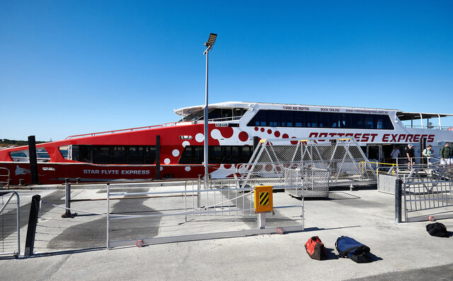 ロットネスト島で、世界一幸せな動物“クオッカ”に恋をした|TRAVEL ロットネスト島で、世界一幸せな動物“クオッカ”に恋をした|TRAVEL