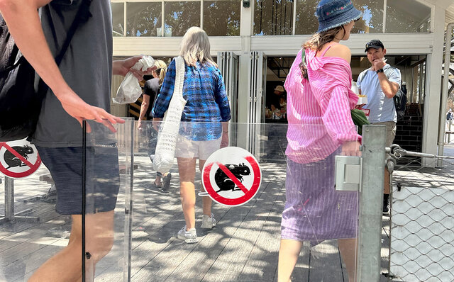 ロットネスト島で、世界一幸せな動物“クオッカ”に恋をした|TRAVEL ロットネスト島で、世界一幸せな動物“クオッカ”に恋をした|TRAVEL