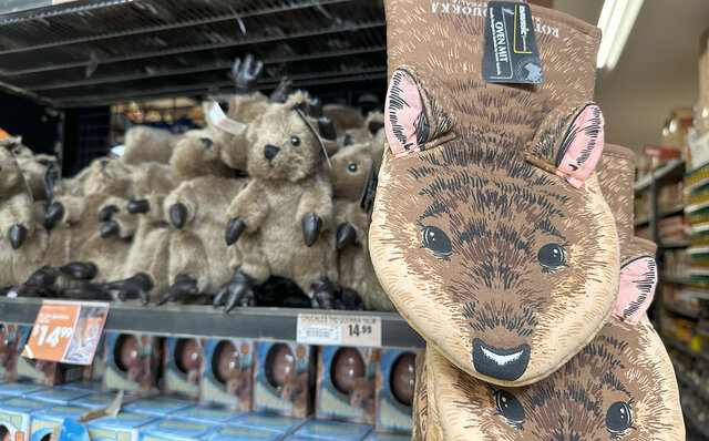 ロットネスト島で、世界一幸せな動物“クオッカ”に恋をした|TRAVEL ロットネスト島で、世界一幸せな動物“クオッカ”に恋をした|TRAVEL