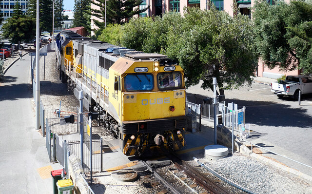 ロットネスト島で、世界一幸せな動物“クオッカ”に恋をした|TRAVEL ロットネスト島で、世界一幸せな動物“クオッカ”に恋をした|TRAVEL