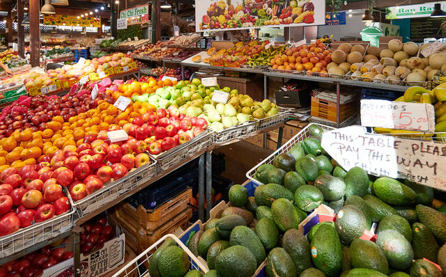 ロットネスト島で、世界一幸せな動物“クオッカ”に恋をした|TRAVEL ロットネスト島で、世界一幸せな動物“クオッカ”に恋をした|TRAVEL