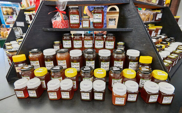 ロットネスト島で、世界一幸せな動物“クオッカ”に恋をした|TRAVEL ロットネスト島で、世界一幸せな動物“クオッカ”に恋をした|TRAVEL