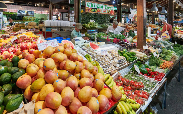 ロットネスト島で、世界一幸せな動物“クオッカ”に恋をした|TRAVEL ロットネスト島で、世界一幸せな動物“クオッカ”に恋をした|TRAVEL
