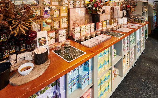 ロットネスト島で、世界一幸せな動物“クオッカ”に恋をした|TRAVEL ロットネスト島で、世界一幸せな動物“クオッカ”に恋をした|TRAVEL