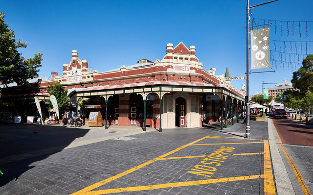 ロットネスト島で、世界一幸せな動物“クオッカ”に恋をした|TRAVEL ロットネスト島で、世界一幸せな動物“クオッカ”に恋をした|TRAVEL