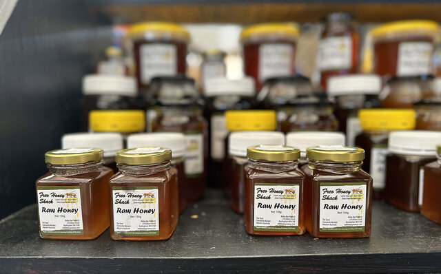 ロットネスト島で、世界一幸せな動物“クオッカ”に恋をした|TRAVEL ロットネスト島で、世界一幸せな動物“クオッカ”に恋をした|TRAVEL