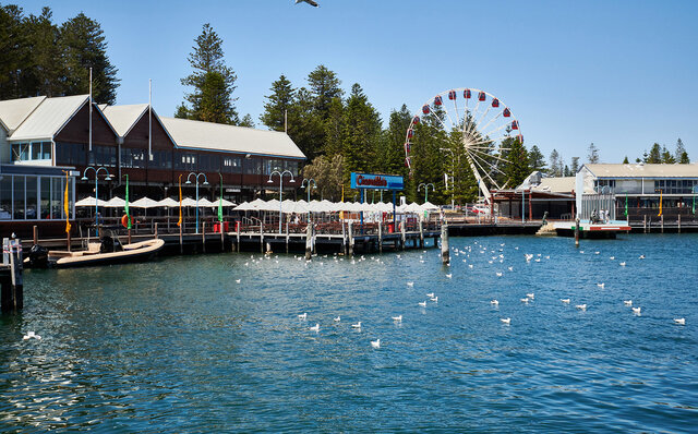 ロットネスト島で、世界一幸せな動物“クオッカ”に恋をした|TRAVEL ロットネスト島で、世界一幸せな動物“クオッカ”に恋をした|TRAVEL