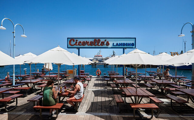 ロットネスト島で、世界一幸せな動物“クオッカ”に恋をした|TRAVEL ロットネスト島で、世界一幸せな動物“クオッカ”に恋をした|TRAVEL