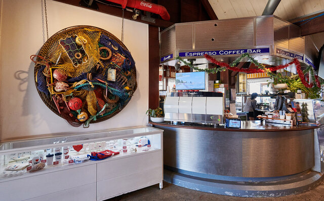 ロットネスト島で、世界一幸せな動物“クオッカ”に恋をした|TRAVEL ロットネスト島で、世界一幸せな動物“クオッカ”に恋をした|TRAVEL