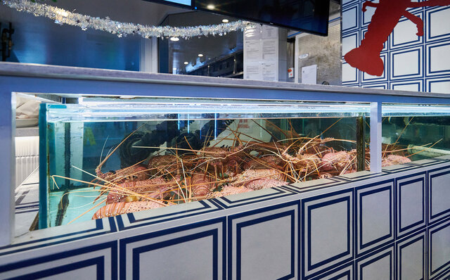 ロットネスト島で、世界一幸せな動物“クオッカ”に恋をした|TRAVEL ロットネスト島で、世界一幸せな動物“クオッカ”に恋をした|TRAVEL