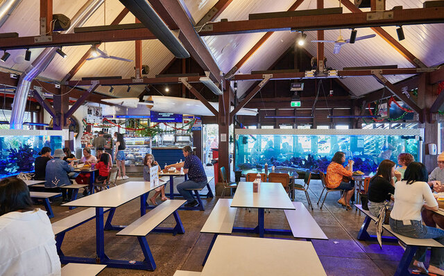 ロットネスト島で、世界一幸せな動物“クオッカ”に恋をした|TRAVEL ロットネスト島で、世界一幸せな動物“クオッカ”に恋をした|TRAVEL